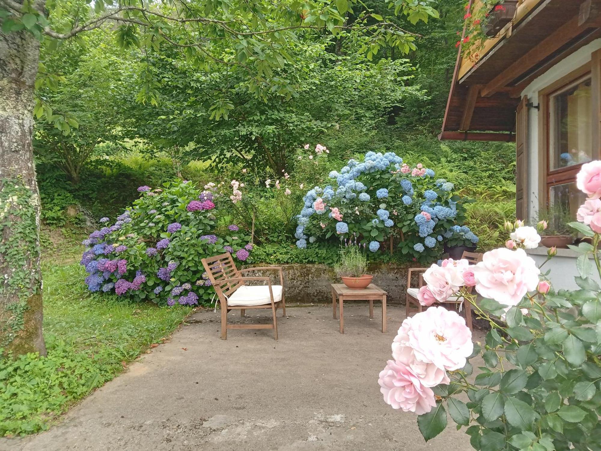 Holiday Home Vesna Brod na Kupi Eksteriør bilde